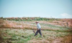 Veteriner ve tohum harcamaları çiftçinin belini büktü! TÜİK verileri ne diyor?