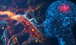 Yeni bir hastalık keşfedildi: 13 vakada görüldü, dünya genelinde artış bekleniyor