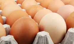 Yumurta buzdolabının kapağında mı saklanmalı? İşte yumurtayı daha güvenli muhafaza etmenin doğru yolu