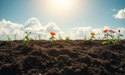 Rüyada toprak görmek ne anlama gelir?