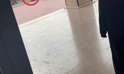 Bursa'da durduk yere öğrencisini darp etmişti: O okul müdürü hakkında karar verildi!