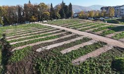 Gölcük'ün mezarlık sorununa kalıcı çözüm