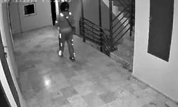 Ankara'da mide bulandıran görüntü: Kurye sipariş getirdiği binaya tuvaletini yaptı!