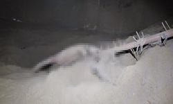 Mobilya fabrikasında feci kaza: Bursa'da talaş silosuna düşen işçi hayatını kaybetti