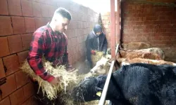 Almanya'dan köyüne döndü, kendi işini kurdu