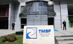 Anahat Holding’e operasyon! Gain Medya’ya TMSF kayyum olarak atandı