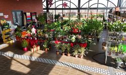 Yeni yıl ANFA Bitki Evleri’nde çiçeklerle karşılanıyor