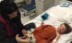 Ankara’da iki kardeşe saldıran pitbullun sahibi tutuklandı