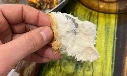 Kahvaltıda ekmeğin içinden çıkanı görünce şok oldu