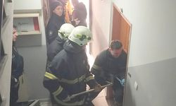 Temizlik kazası hastanelik etti