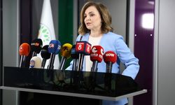 DEM Parti’den MHP’ye 'kırmızı çizgi' mesajı