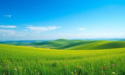 Rüyada yeşillik görmek ne anlama gelir?