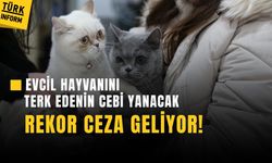 Evcil hayvan sahiplerine kritik uyarı! Sokağa bırakanlar yandı!