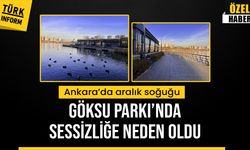 Ankara Göksu Parkı soğuyan havalarla adeta boş kaldı