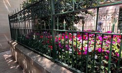 Hz. Yuşa Türbesi'ne dair her şey! Hz. Yuşa Türbesi'nin önemi nedir? İnsanlar hangi duaların kabulü için ziyaret eder?