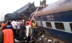 Hindistan’da tren kazası: 7 fil hayatını kaybetti
