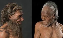 Homo sapiens nedir? Homo sapiens teorisi nedir?