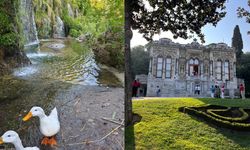 İstanbul’da huzur bulabileceğiniz iki rota: Emirgan Korusu ve Ihlamur Kasrı