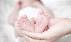 İstanbul'da sağlık sisteminde yeni dönem! O proje hayata geçirildi: Tanı ve tedavide yapay zeka devri başladı