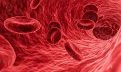 MCHC nedir? MCHC düşüklüğü ve yüksekliği ne anlama gelir?