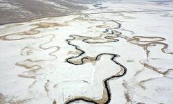 Göle Ovası’nda görsel şölen