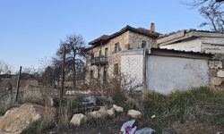 Bağlı köpek çocuklara saldırdı!