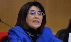 DEM Parti’den Leyla Zana’ya yönelik tezahüratlar için suç duyurusu
