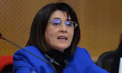 MHP Leyla Zana'ya sahip çıktı! MHP Grup Başkanvekili Erkan Akçay'dan tepki geldi