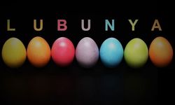 Lubunya ne demek? Lubunya kime denir?