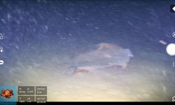 Marmara denizindeki 50 yıllık sır, sular yüzüne çıkıyor!