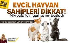 Evcil hayvan sahipleri dikkat! Mikroçip için geri sayım başladı, merak edilen tüm soruların cevabı haberimizde