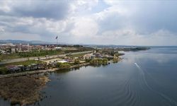 Mogan Gölü'nde korkutan manzara: ölü balıklar kıyıya vurdu