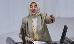 Özlem Zengin'in kardeşi ile ilgili iddia! Başhekim mi oldu?