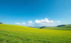 Rüyada tarla görmek ne anlama gelir?