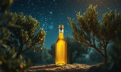 Rüyada zeytinyağı görmek ne anlama gelir?