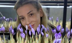 Genç yaşta mesleğini bıraktı, safran üretmeye başladı!