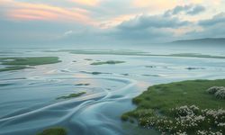 Rüyada sel görmek ne anlama gelir?