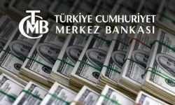 TCMB ekim ayı Kısa Vadeli Dış Borç İstatistikleri’ni açıkladı