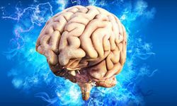 Beyincik sarkması nedir, belirtileri ve tedavi yöntemleri nelerdir?
