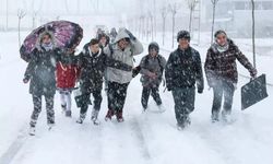 Valilik açıkladı: O ilimizde kar yağışı nedeniyle okullar tatil oldu!