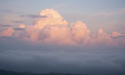 Rüyada yün görmek ne anlama gelir?