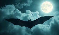 Rüyada yarasa görmek ne anlama gelir?