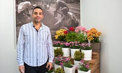 BATEM’de yerli sardunya çeşitleri için ıslah çalışması