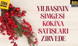 Yılbaşının simgesi 'kokina' Ankara’da vitrinleri süslüyor