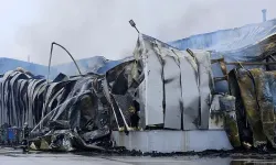 Yunanistan'daki korkunç yangında can kaybı yükseldi