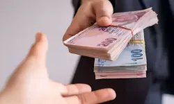 Ocak ayının zam şampiyonu hangi sebze oldu?