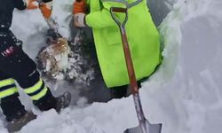 Artvin'deki çığ felaketinde son durum! Arama kurtarma çalışmaları...