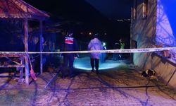Ordu'da kan donduran cinayet: Yaşlı adam ahırda defalarca bıçaklanarak vahşice katledildi!