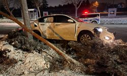 Alkollü sürücü dehşeti: Ağaç devirdi, direğe çarptı