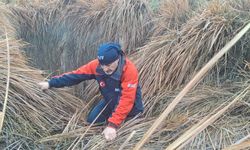 379 kişi, iz takip ve kadavra köpeğiyle kayıp kadını arıyor